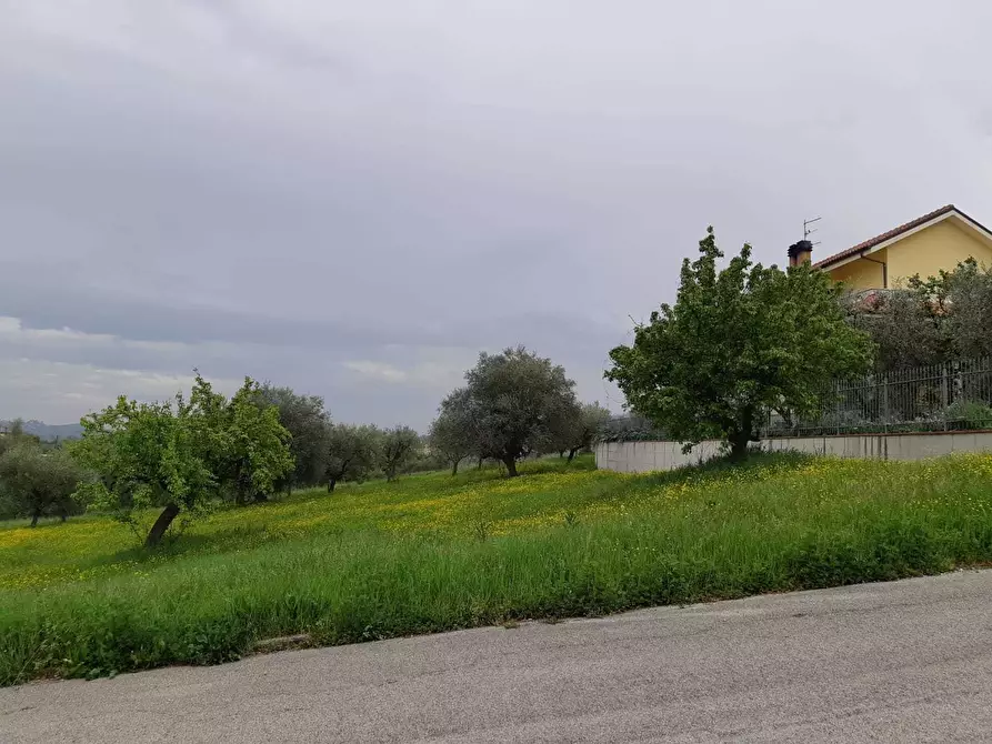 Immagine 8 di Terreno edificabile in vendita  a Appignano Del Tronto