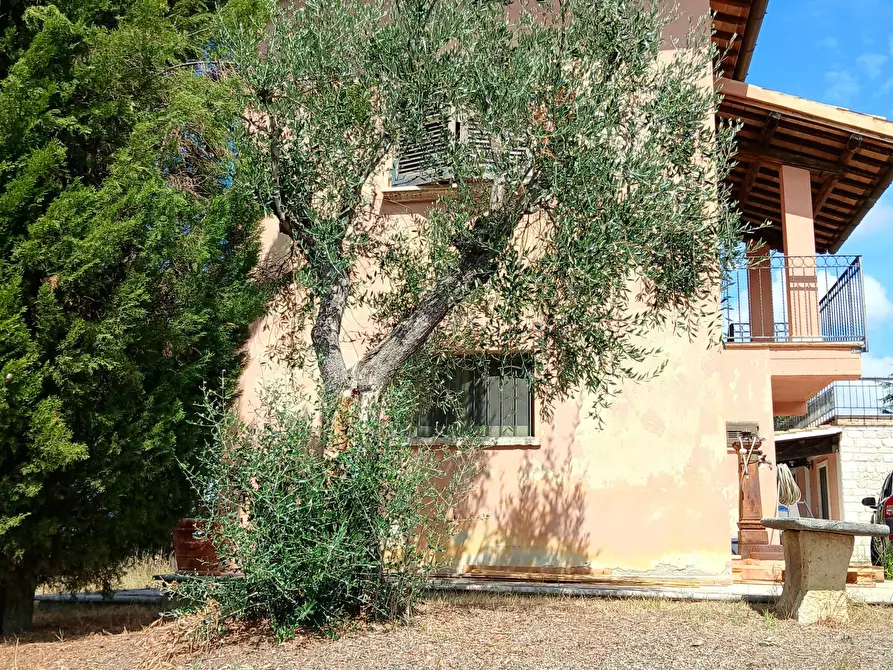 Immagine 31 di Casa indipendente in vendita  a Ancarano