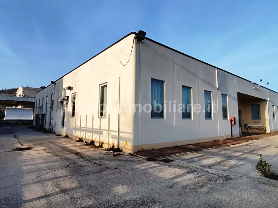 Immagine 6 di Attività artigianale in vendita  a Ascoli Piceno