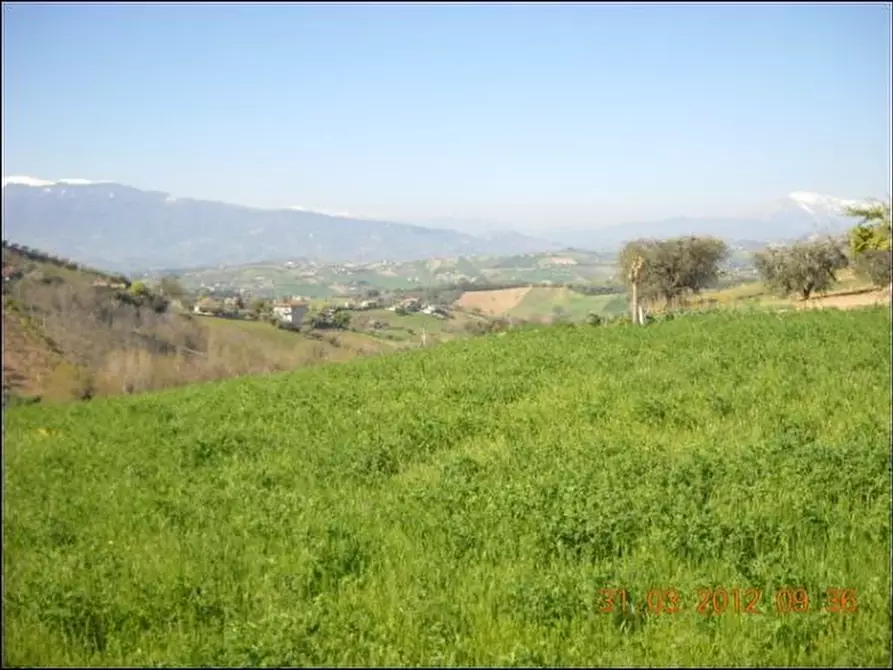 Immagine 4 di Terreno edificabile in vendita  a Castorano