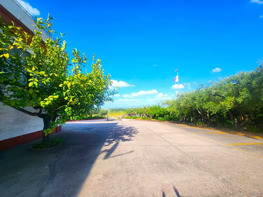 Immagine 3 di Capannone industriale in vendita  a Roma