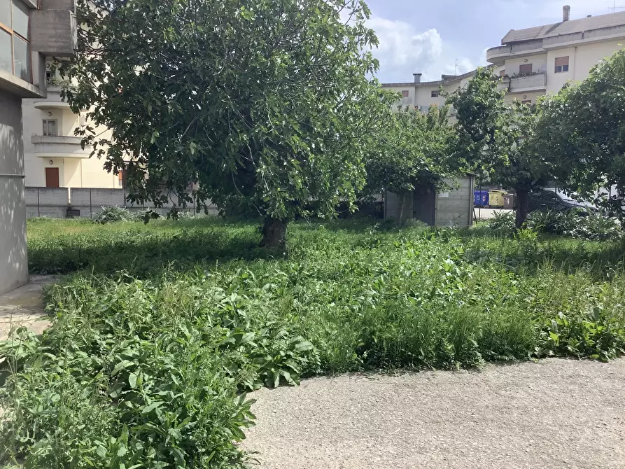 Immagine 3 di Terreno edificabile in vendita  a Monsampolo Del Tronto