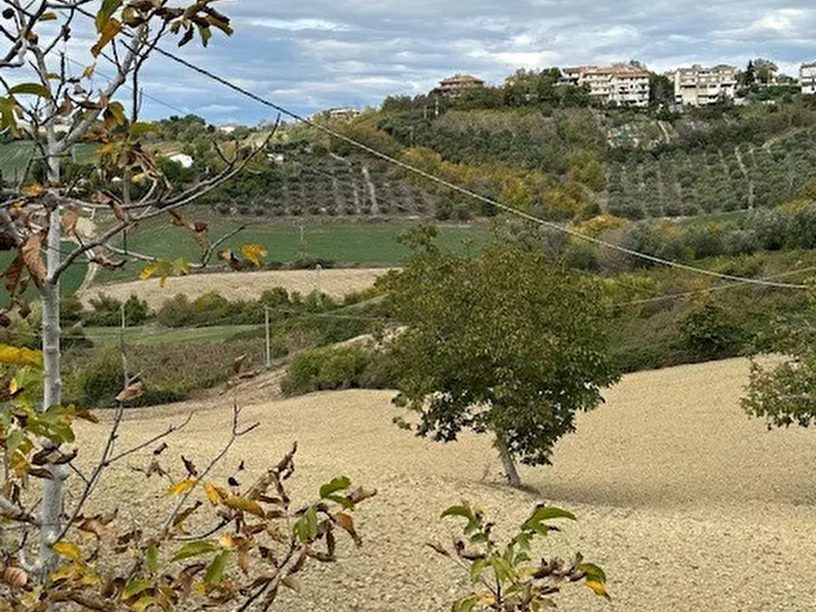 Immagine 34 di Casa bifamiliare in vendita  a Carassai