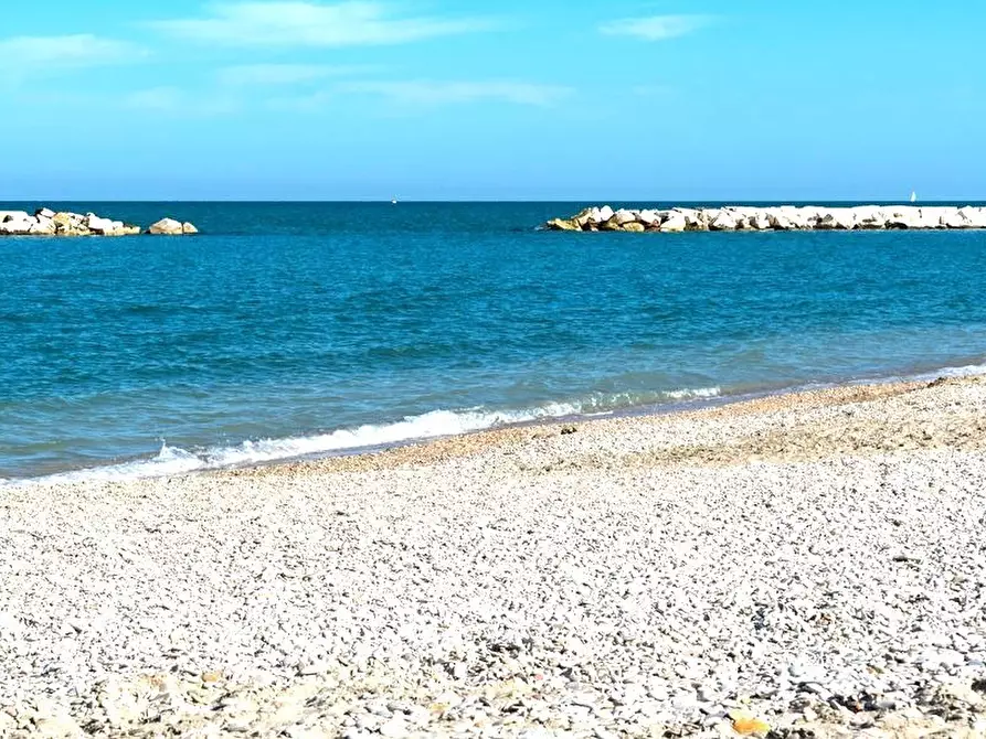 Immagine 5 di Attività commerciale in vendita  a Fano