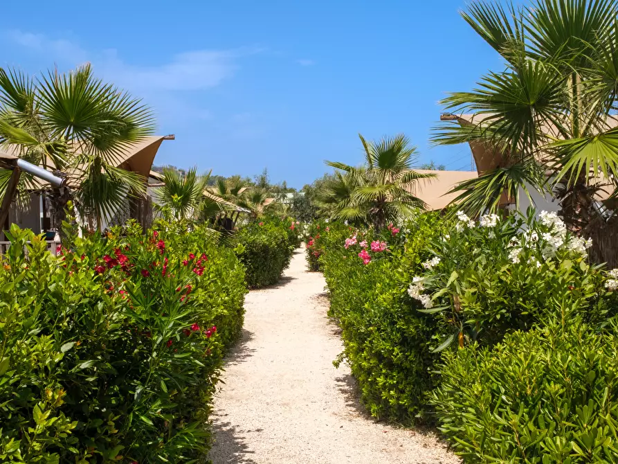 Immagine 4 di Attività commerciale in vendita  a Grottammare