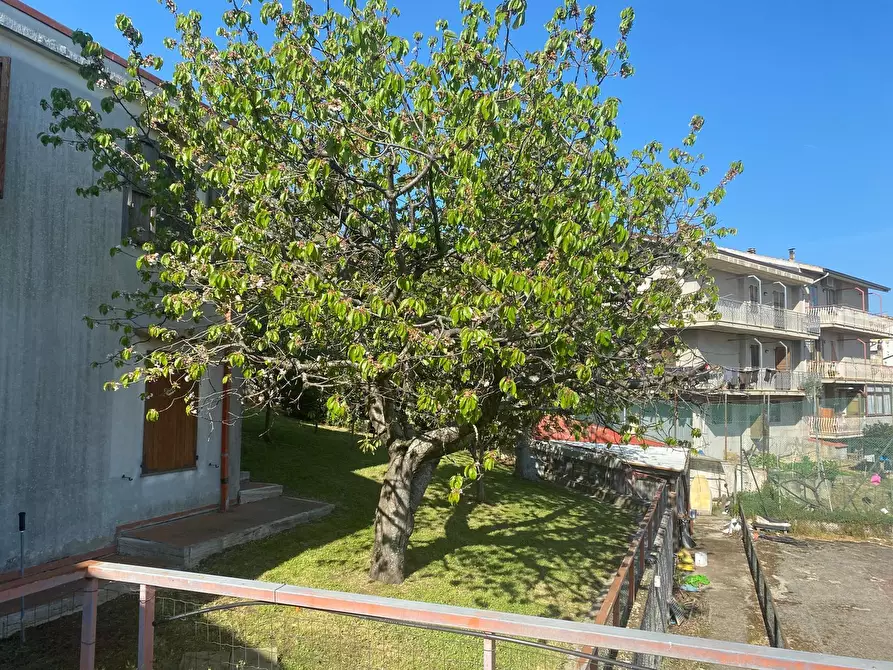 Immagine 55 di Casa indipendente in vendita  a Acquaviva Picena