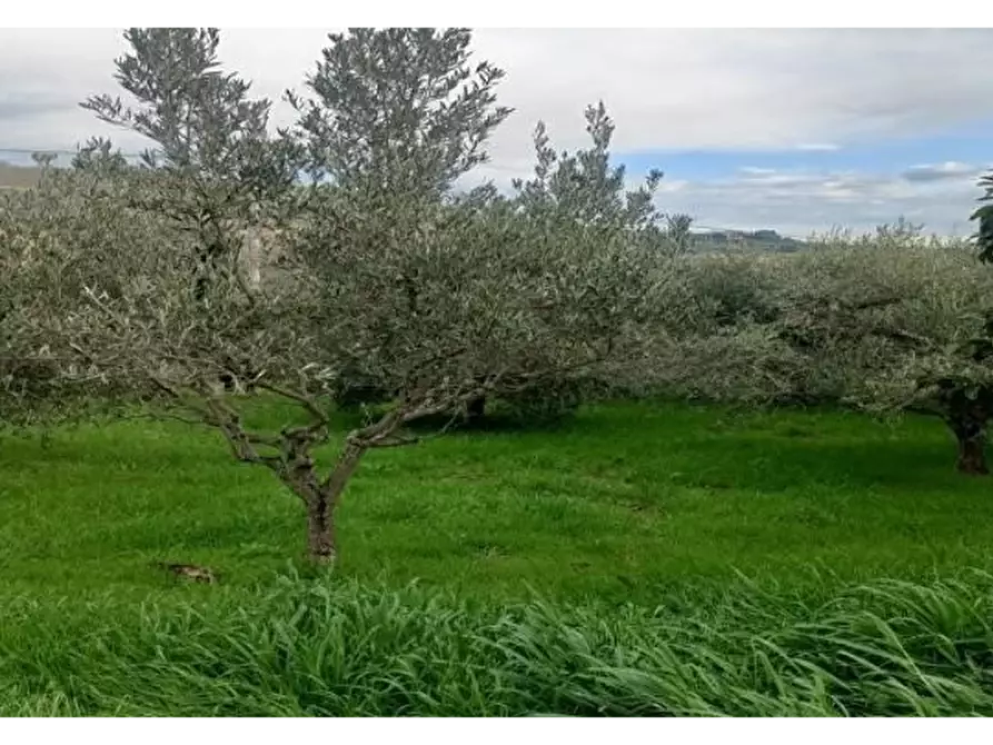 Immagine 17 di Casa indipendente in vendita  a San Benedetto Del Tronto