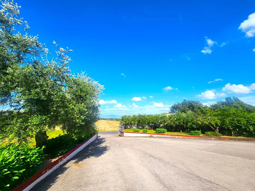 Immagine 2 di Capannone industriale in vendita  a Roma