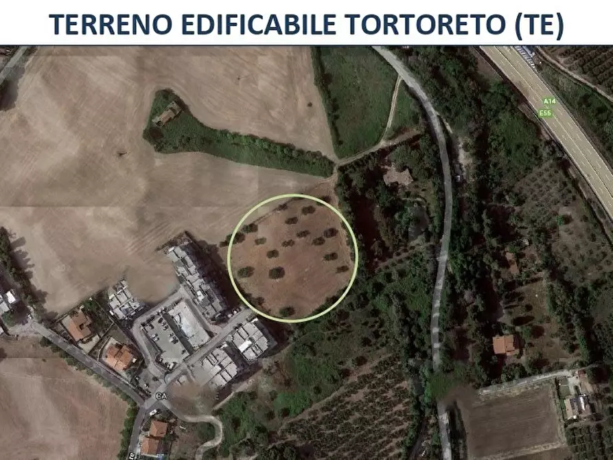 Immagine 3 di Terreno edificabile in vendita  a Tortoreto