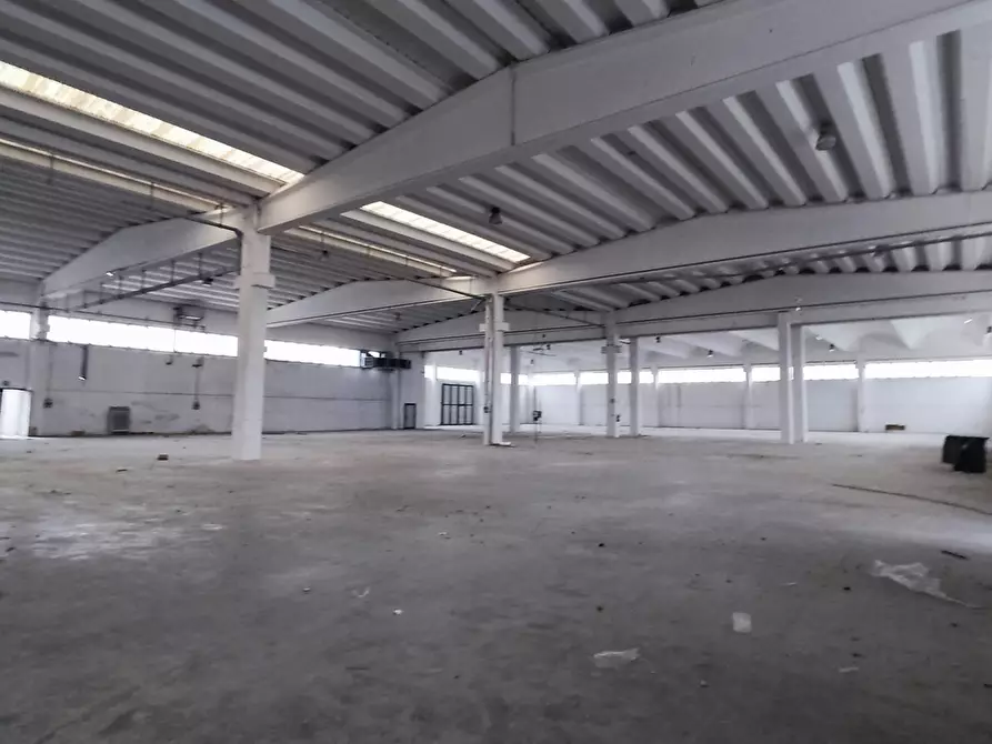 Immagine 8 di Capannone industriale in vendita  in via dell'industria 5-7 a Castelplanio