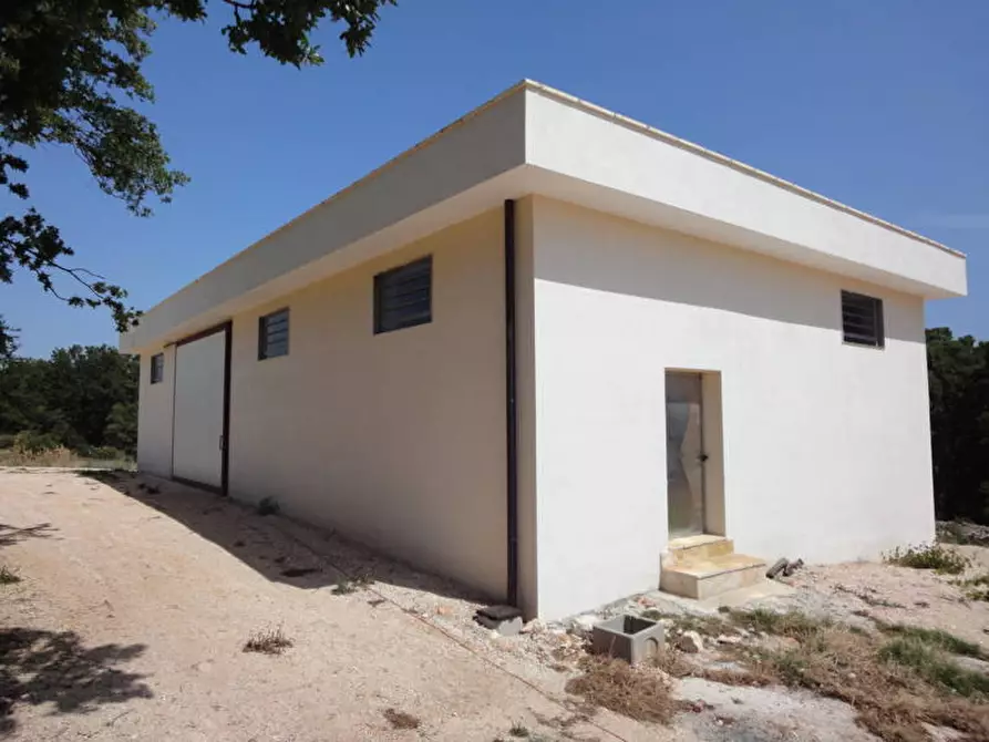 Immagine 35 di Agriturismo in vendita  a Castellana Grotte