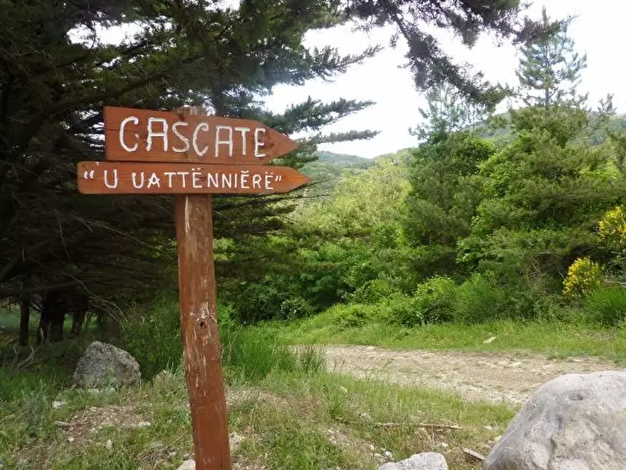 Immagine 22 di Quadrilocale in vendita  in via dante a San Fele