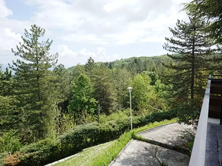 Immagine 48 di Casa indipendente in vendita  a Ascoli Piceno