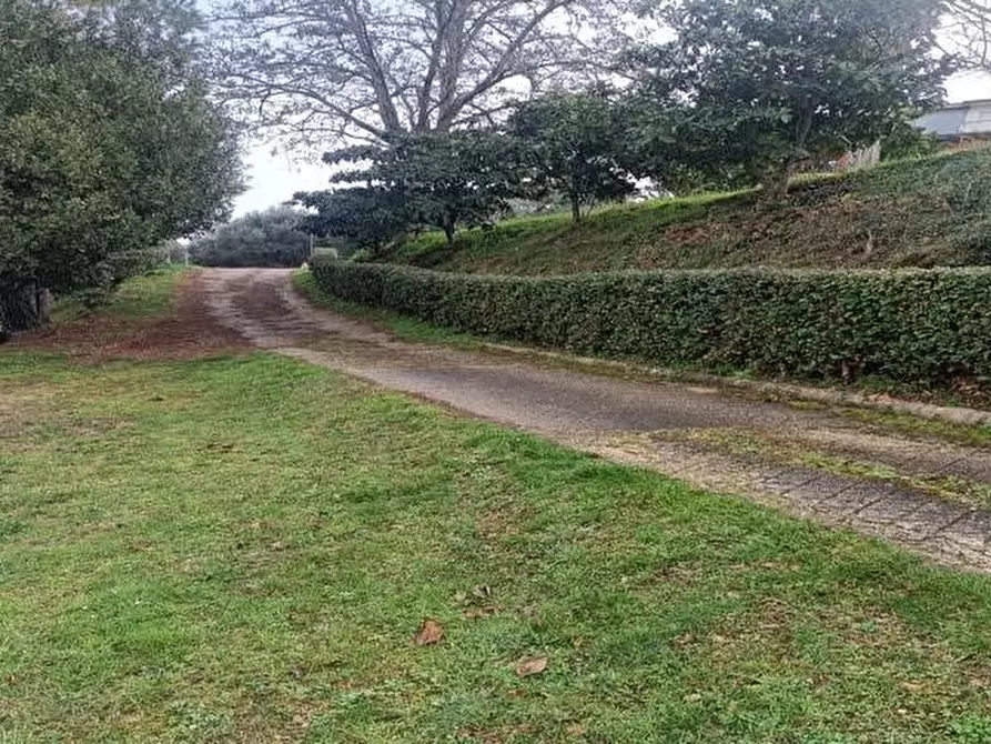 Immagine 17 di Terreno agricolo in vendita  in Contrada Monte Aquilino a San Benedetto Del Tronto