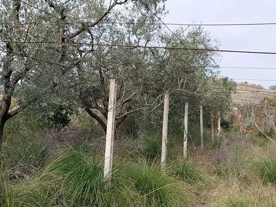 Immagine 23 di Rustico / casale in vendita  a San Benedetto Del Tronto