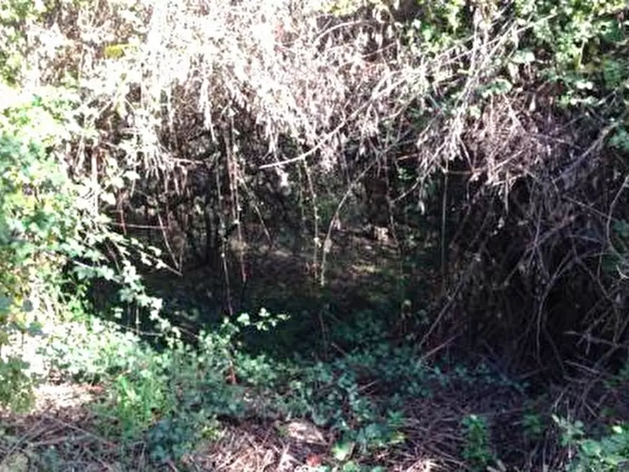 Immagine 12 di Casa indipendente in vendita  in contrada ragnola a San Benedetto Del Tronto