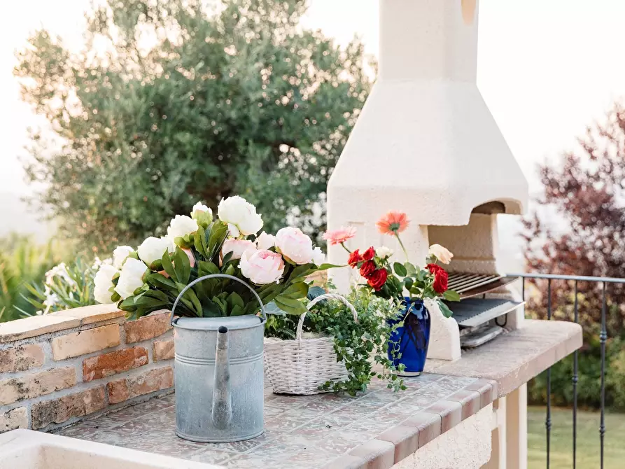 Immagine 9 di Casa indipendente in vendita  a Morro D'oro