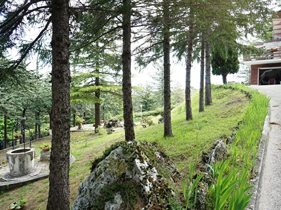 Immagine 38 di Casa indipendente in vendita  a Ascoli Piceno