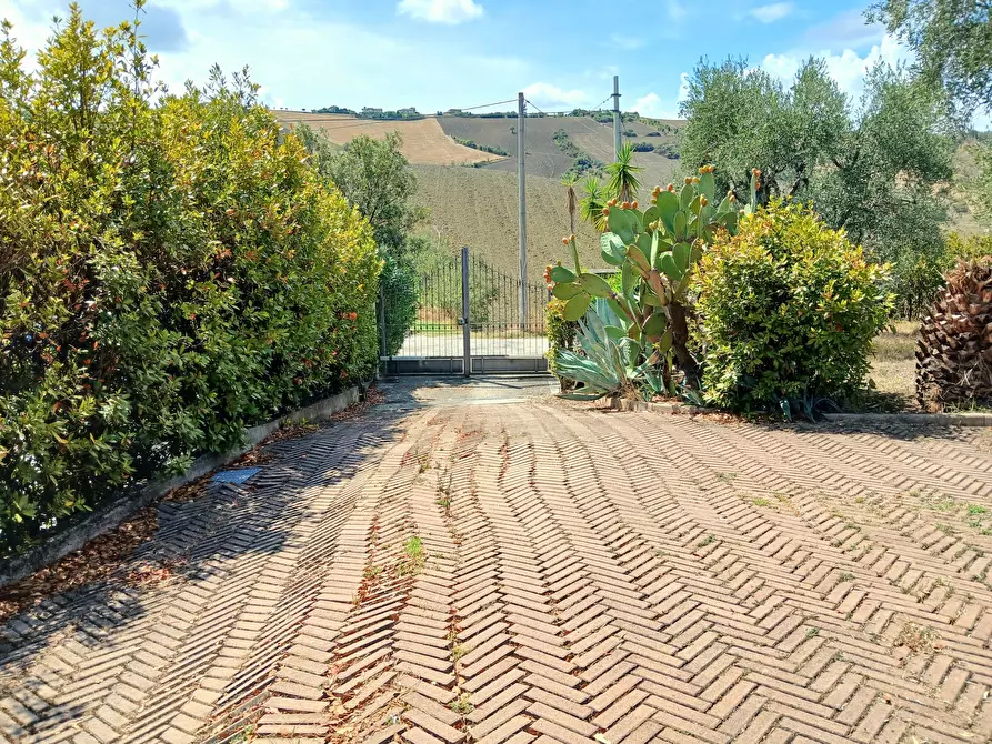 Immagine 58 di Casa indipendente in vendita  a Ancarano