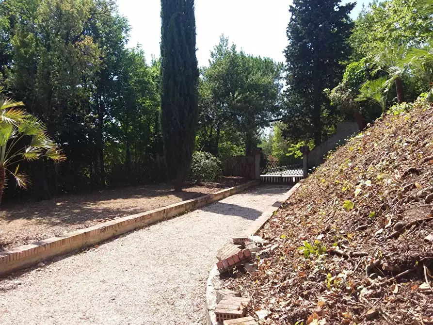 Immagine 32 di Casa indipendente in vendita  a Tortoreto