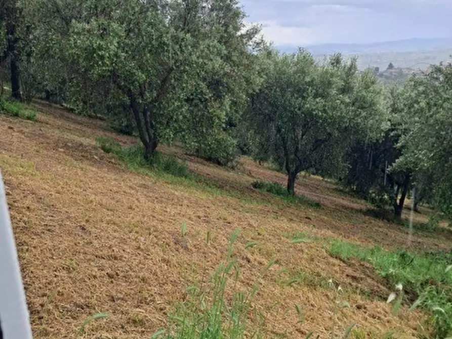 Immagine 9 di Terreno edificabile in vendita  a Colonnella