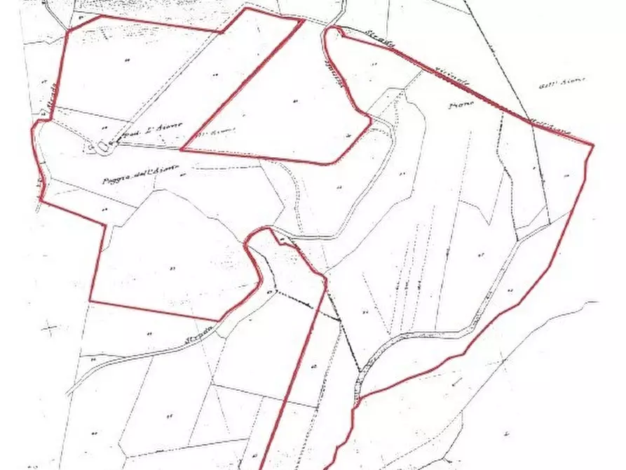 Immagine 29 di Azienda agricola in vendita  a Monterotondo Marittimo
