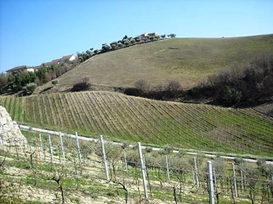 Immagine 7 di Terreno edificabile in vendita  in contrada a Castorano