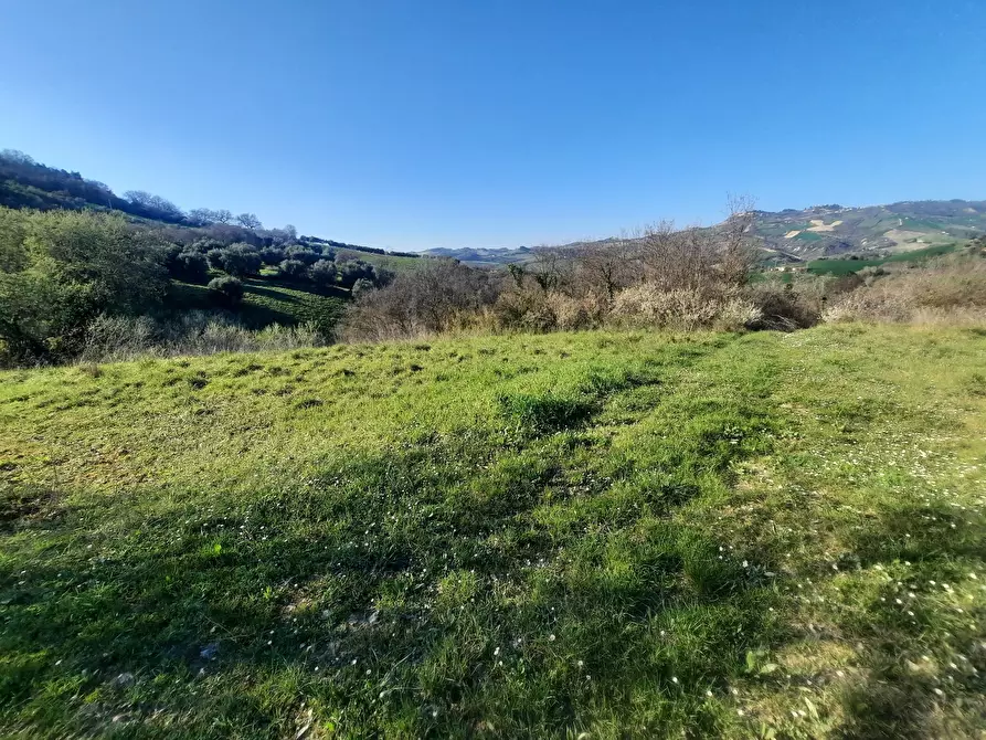 Immagine 6 di Casa indipendente in vendita  in cantina Cocci Grifoni a Ripatransone
