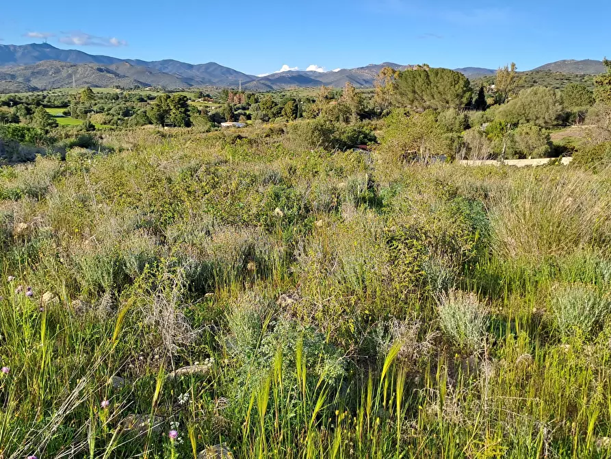 Immagine 34 di Terreno agricolo in vendita  in Via dei Gladioli a Quartucciu