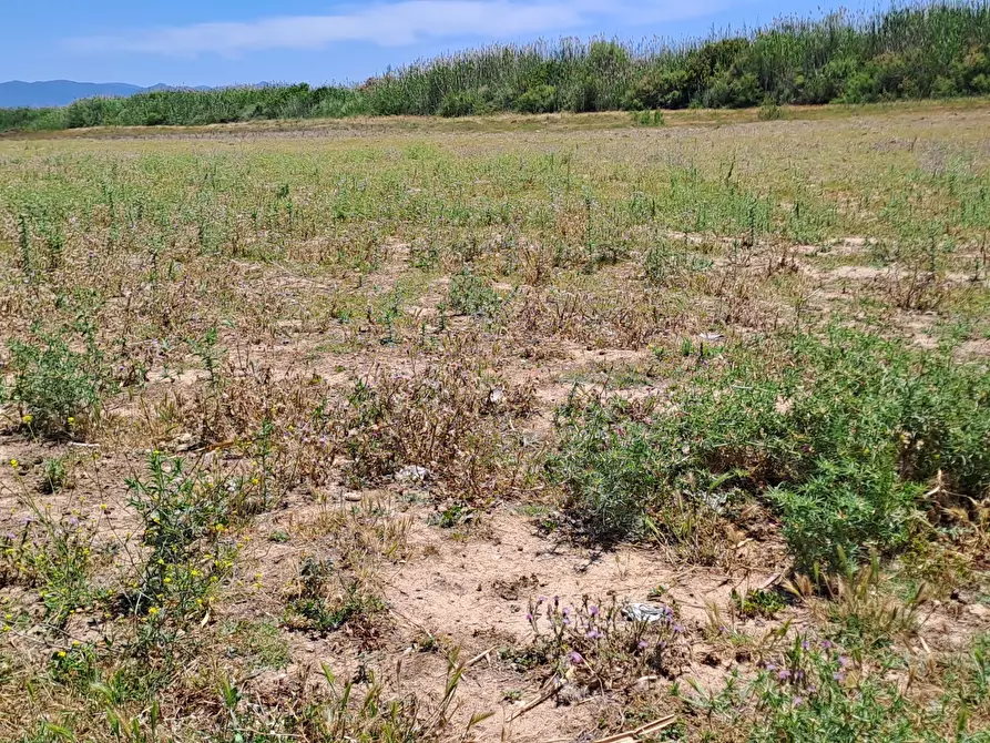 Immagine 7 di Terreno agricolo in vendita  a Quartu Sant'elena