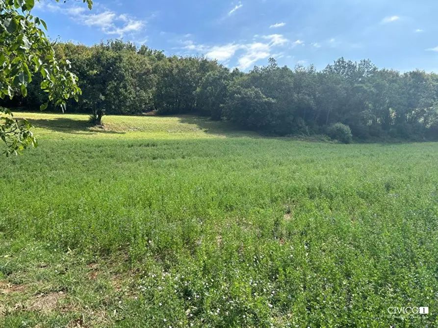 Immagine 26 di Rustico / casale in vendita  in Via Fagnini 8 a Villaga