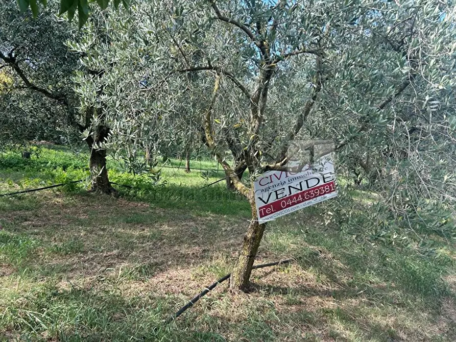Immagine 2 di Terreno agricolo in vendita  in Via Castellaro a Castegnero