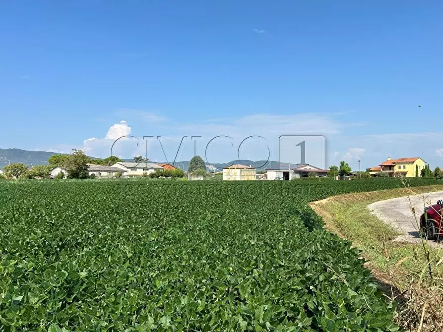 Immagine 5 di Terreno agricolo in vendita  in Via Volpara a Castegnero