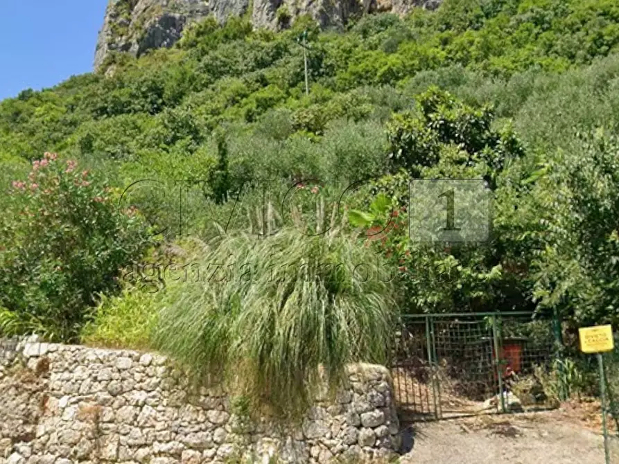 Immagine 2 di Terreno agricolo in vendita  in Piazza Mazzaretto a Longare