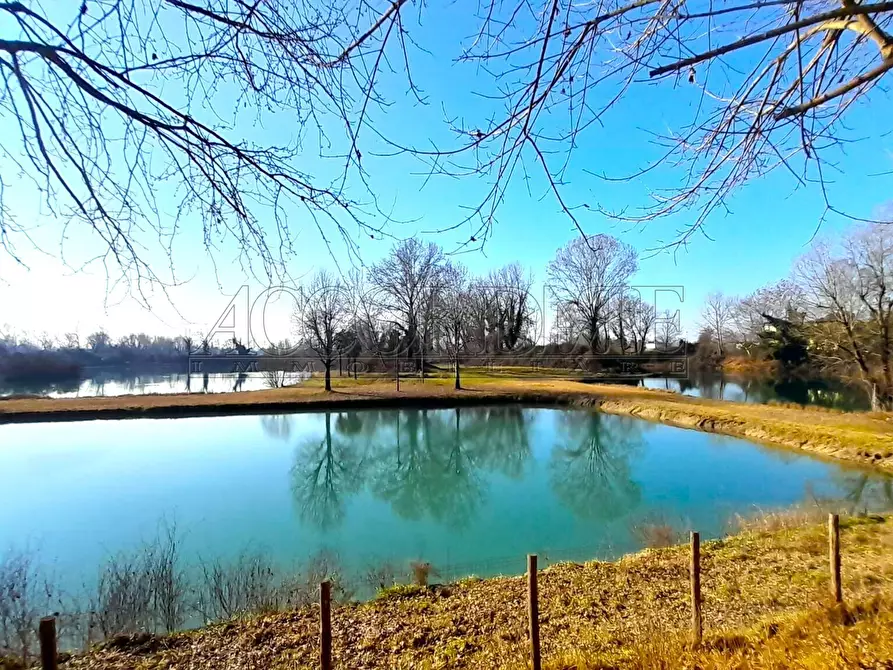 Immagine 2 di Bar / Ristorante in vendita  in Via Riccardo Riporti 8 a Piazzola Sul Brenta