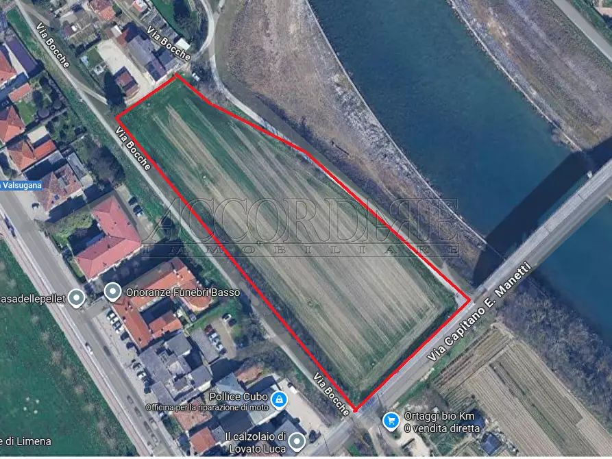 Immagine 1 di Terreno agricolo in vendita  a Limena