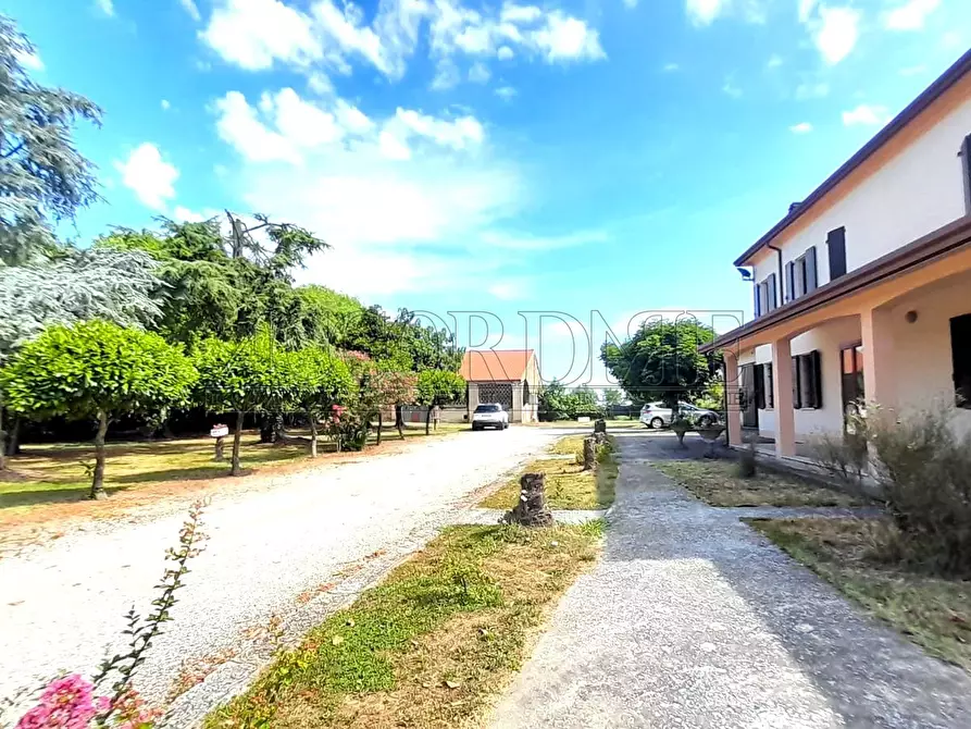 Immagine 10 di Rustico / casale in vendita  in Via Croce 796 a Salara