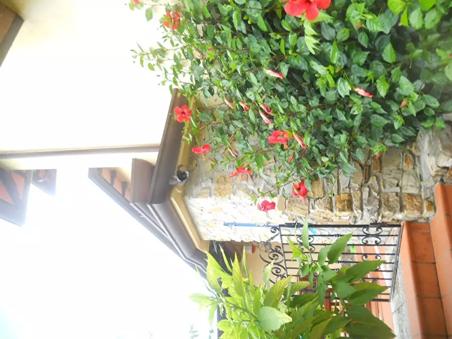 Immagine 59 di Villa in vendita  in Via Palvotrisia 92 a Castelnuovo Magra