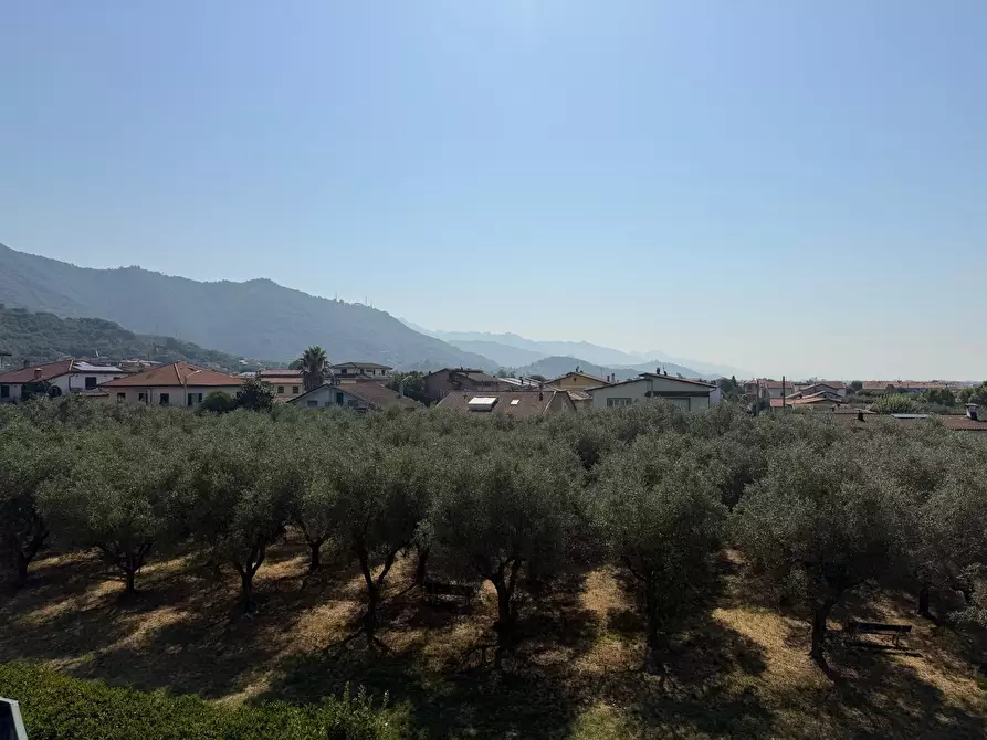 Immagine 29 di Villetta a schiera in vendita  in Via Larga 37 a Ortonovo