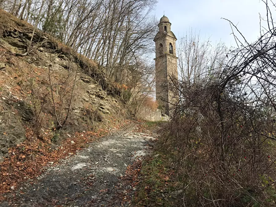 Immagine 12 di Casa indipendente in vendita  in Frazione Groppo 30 a Albareto