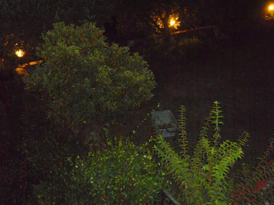 Immagine 118 di Villa in vendita  in Via Palvotrisia 92 a Castelnuovo Magra