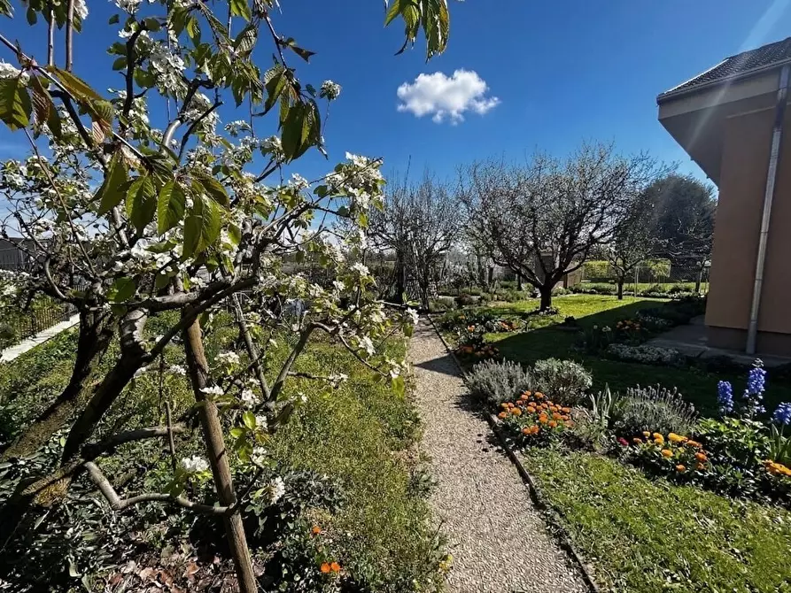 Immagine 4 di Villa in vendita  in Strada Ravetto 52 a Orbassano