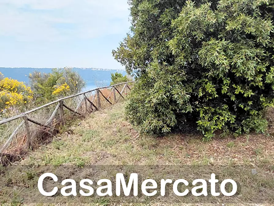 Immagine 8 di Terreno agricolo in vendita  a Rocca Di Papa