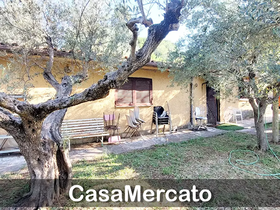 Immagine 5 di Rustico / casale in vendita  in Via del Tuscolo a Grottaferrata