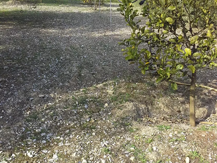 Immagine 25 di Casa indipendente in vendita  a San Benedetto Del Tronto