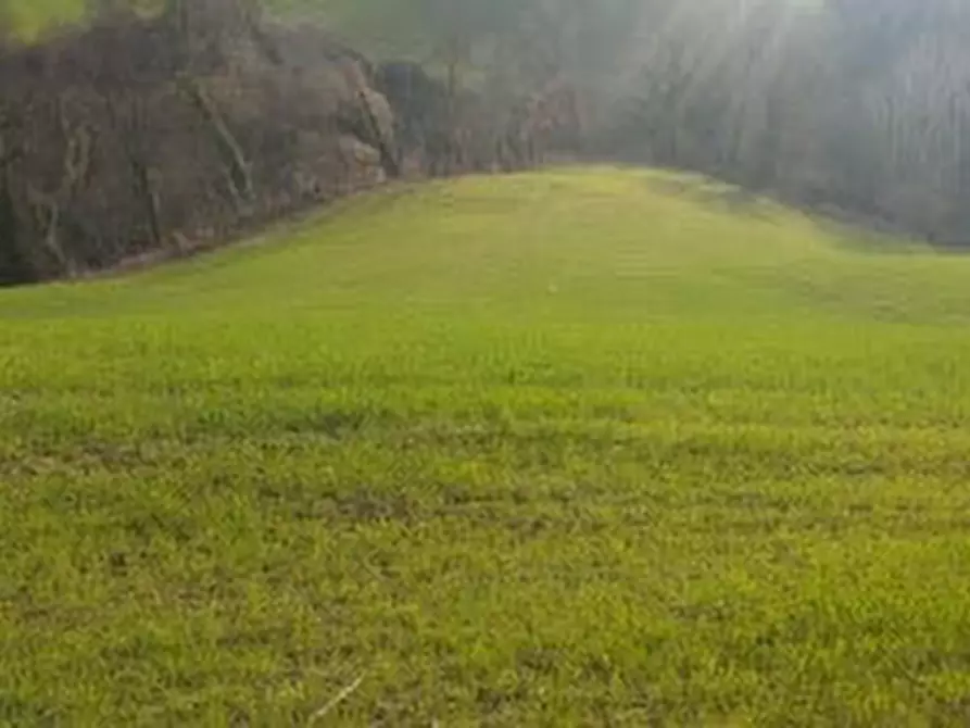 Immagine 2 di Casa indipendente in vendita  a Mondavio