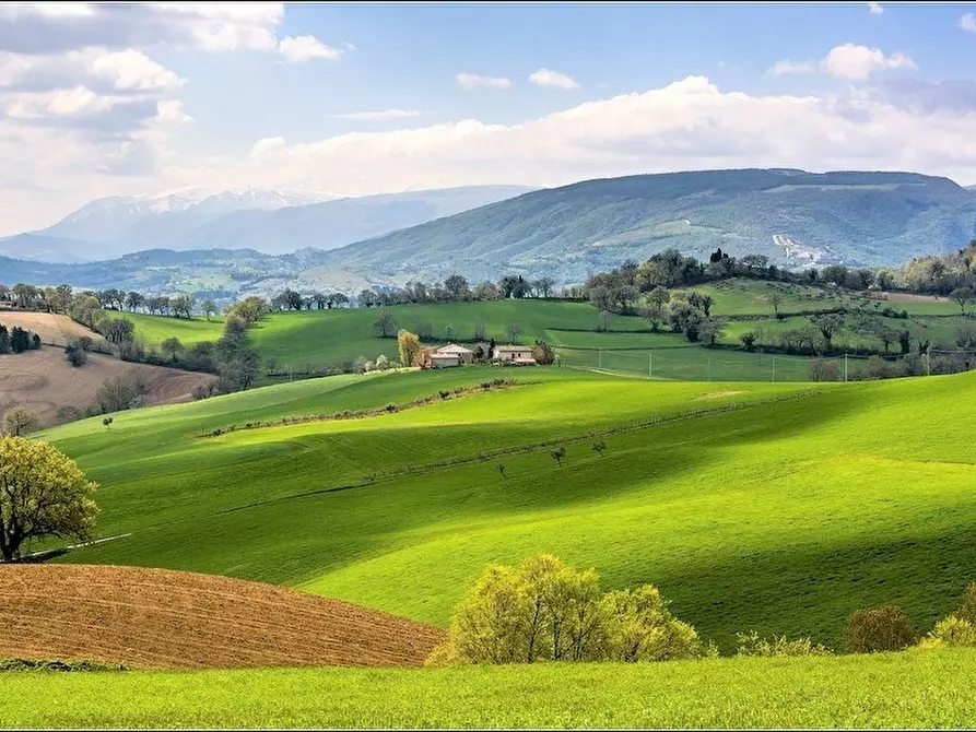 Immagine 8 di Albergo/B&B/Residence in vendita  a Corridonia