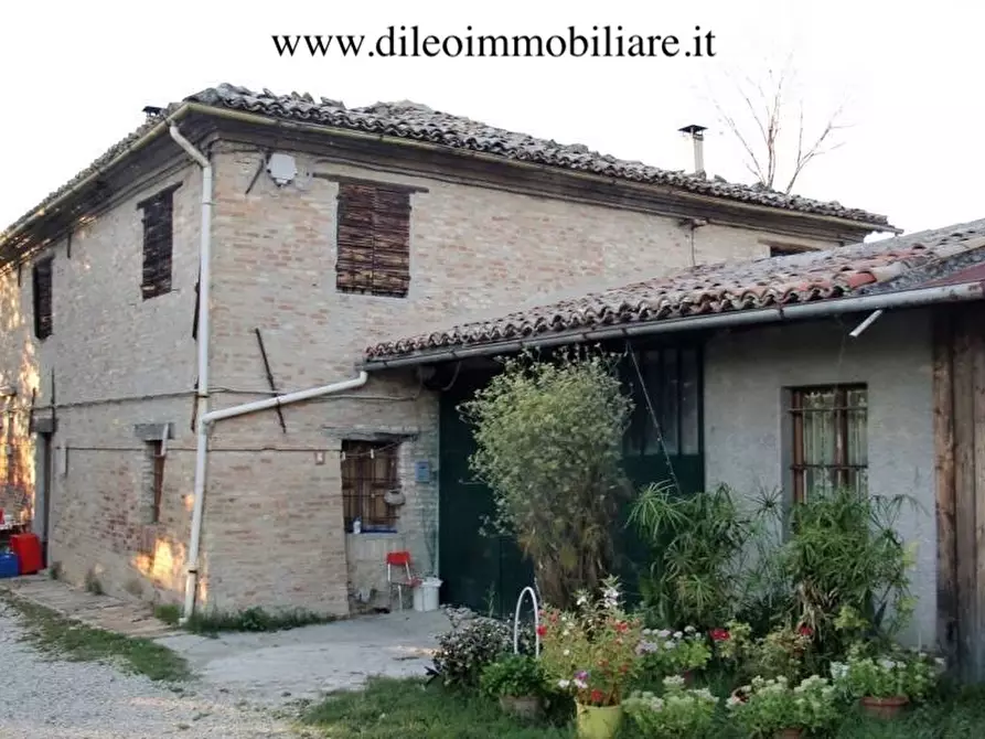 Immagine 13 di Azienda agricola in vendita  a Pesaro