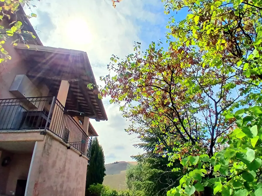 Immagine 38 di Casa indipendente in vendita  a Ancarano