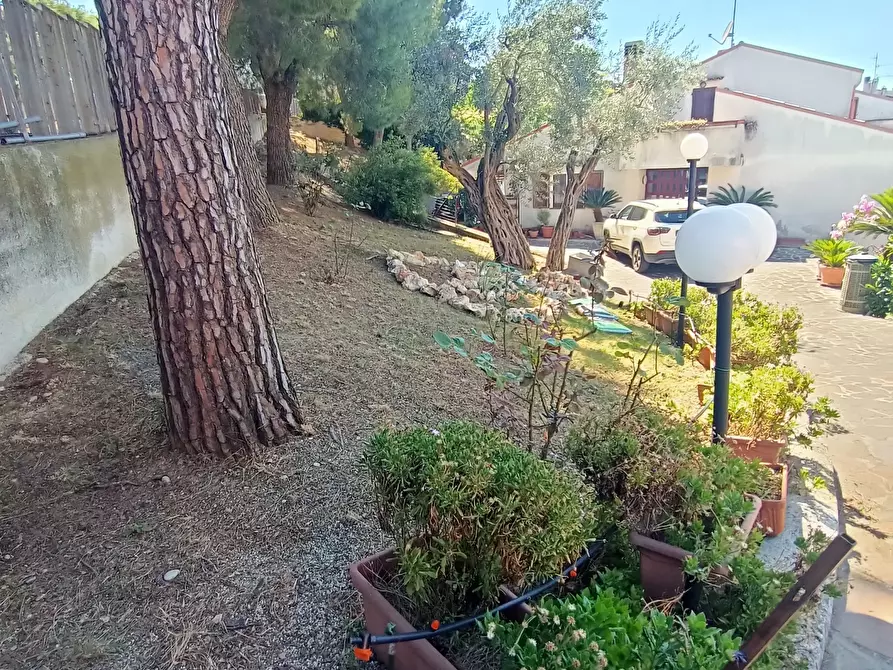 Immagine 48 di Casa indipendente in vendita  a Acquaviva Picena